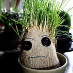 পড়ে গিয়েও হাত তালি