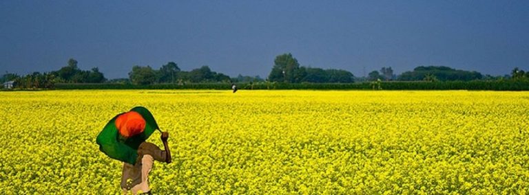 শুধু জয় বাংলা বলে আগে বাড়ো
