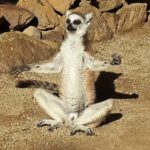 সতীত্ব এবং কুমারীত্ব