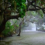 বর্ষাকাল
