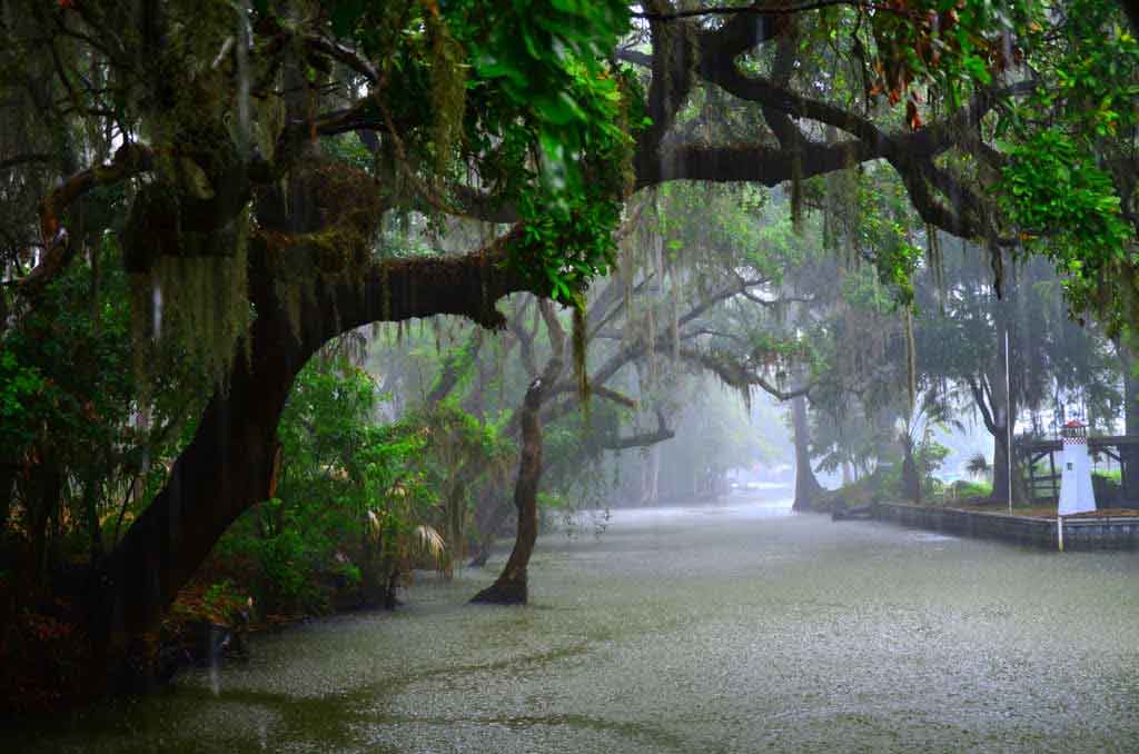 বর্ষাকাল