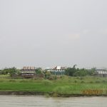 পদ্মার চর