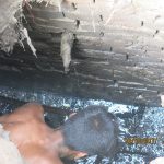 কোনো ধরনের স্বাস্থ্য সচেতনতা এবং নিরাপত্তা ব্যবস্থা ছাড়াই পয়ঃপ্রণালী পরিষ্কার করতে (ওয়াসার কাজ) নামিয়ে দেওয়া হয়েছে একটি শিশুকে!