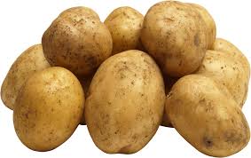 Potato of Bangladesh