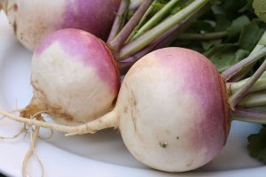 Turnip as vegetable in Bangladesh