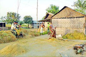 Yard means 'uthan' in Bangla