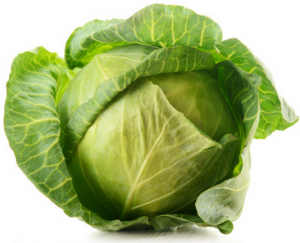 cabbage as Bangladesh