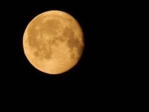 moon means 'cad' in Bangla