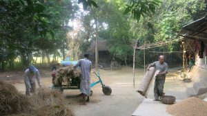 village means 'gram' in Bangla