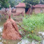 ভালুকা, ময়মনসিংহ, জলবদ্ধতা, নাগরিক সমস্যা