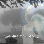 পড়ুক ঝড়ে পড়ুক ঝড়ে