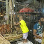 সূত্রাপুর-বাজারের-মুরগীর-দোকান