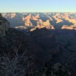 পয়গম্বর