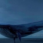 blue whale