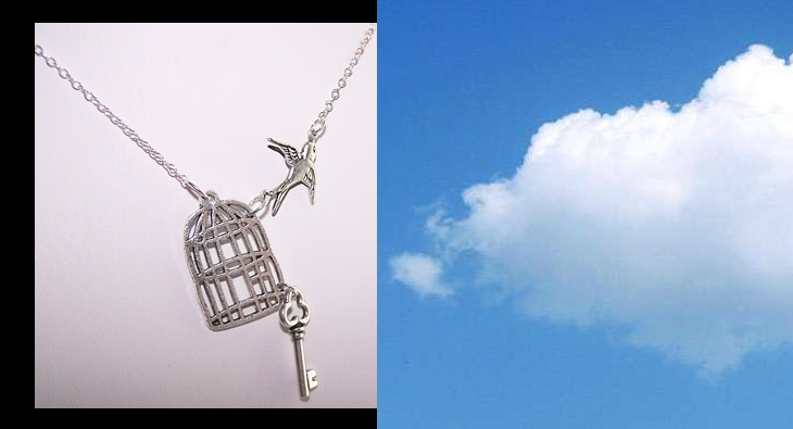 Bird, cage and sky