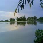 উত্তরবঙ্গ