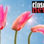 ভালোবাসা প্রেম