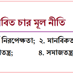 সংবিধানের জন্য প্রস্তাবিত চার মূলনীতি