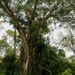 ফটোগ্রাফি কি