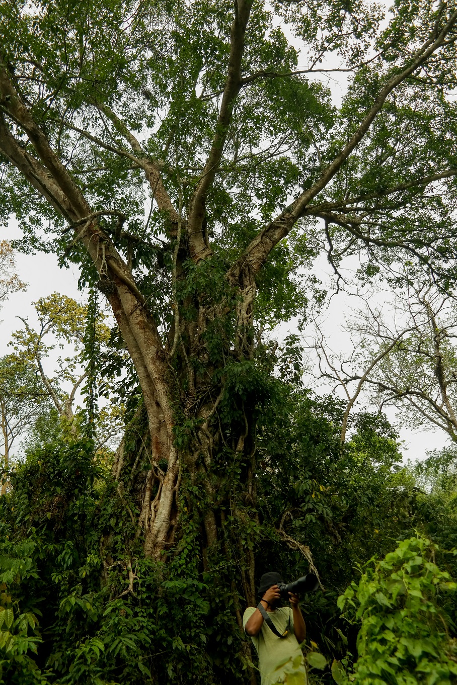 ফটোগ্রাফি কি