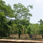 বাংলাদেশ