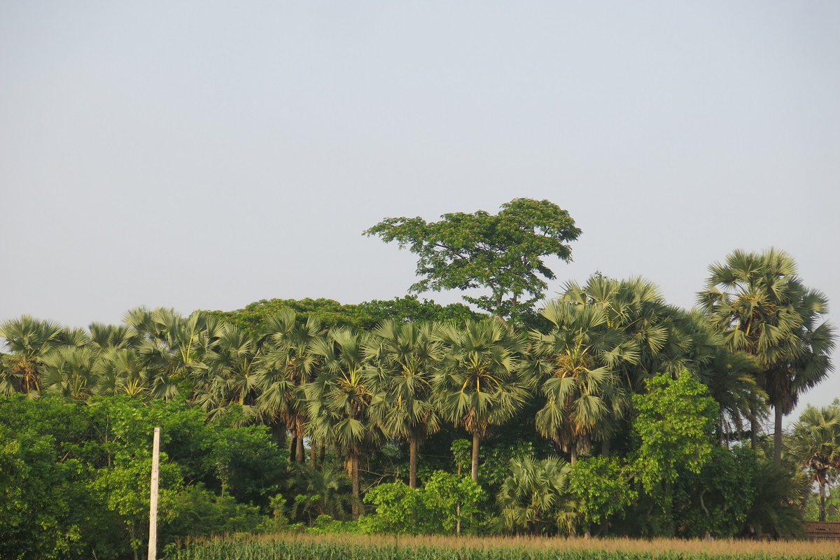 মহাকাশ