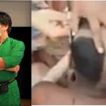 পেকুয়ায় ৭ জেলে