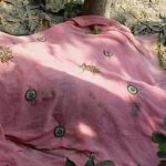 বাগেরহাট