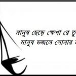 মানুষ ভজলে সোনার মানুষ হবি