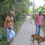 কচুয়া