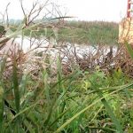 গোপালগঞ্জ