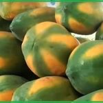 পেঁপে কেন খাবেন