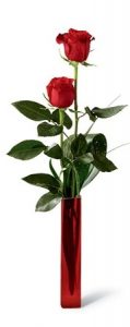 Rose for valentine