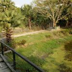 শাখারীকাঠী গণহত্যা