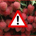 দিনাজপুর