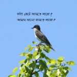 প্রেমের কবিতা