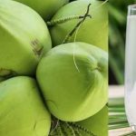 ডাবের পানি