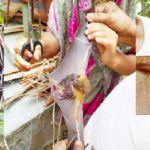 মা বাদুর