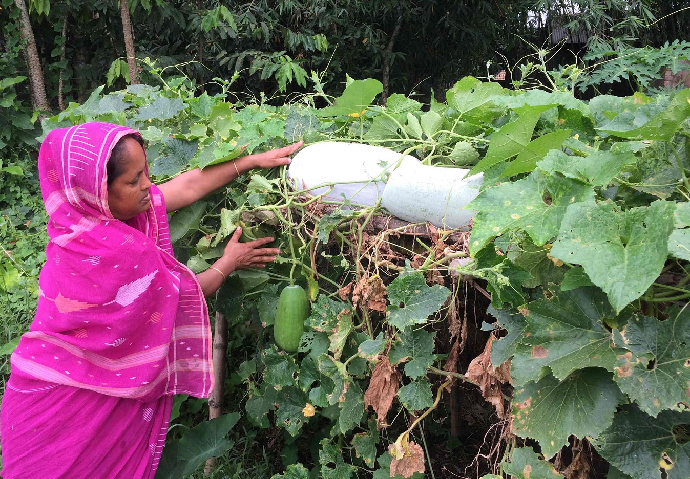 নারী কৃষক