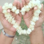 তনিমা জামান