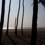 শাহিদা সুলতানা