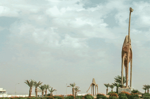 The Camel roundabout