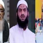 বাবুনগরী