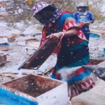 করুণা রাণী সরদার