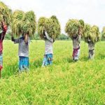 বাংলাদেশ