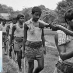 রতন কান্দি