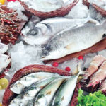 সামুদ্রিক মাছ