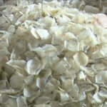 মাছের আঁশ