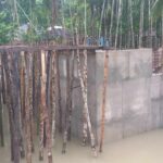 বক্স কালভার্ট