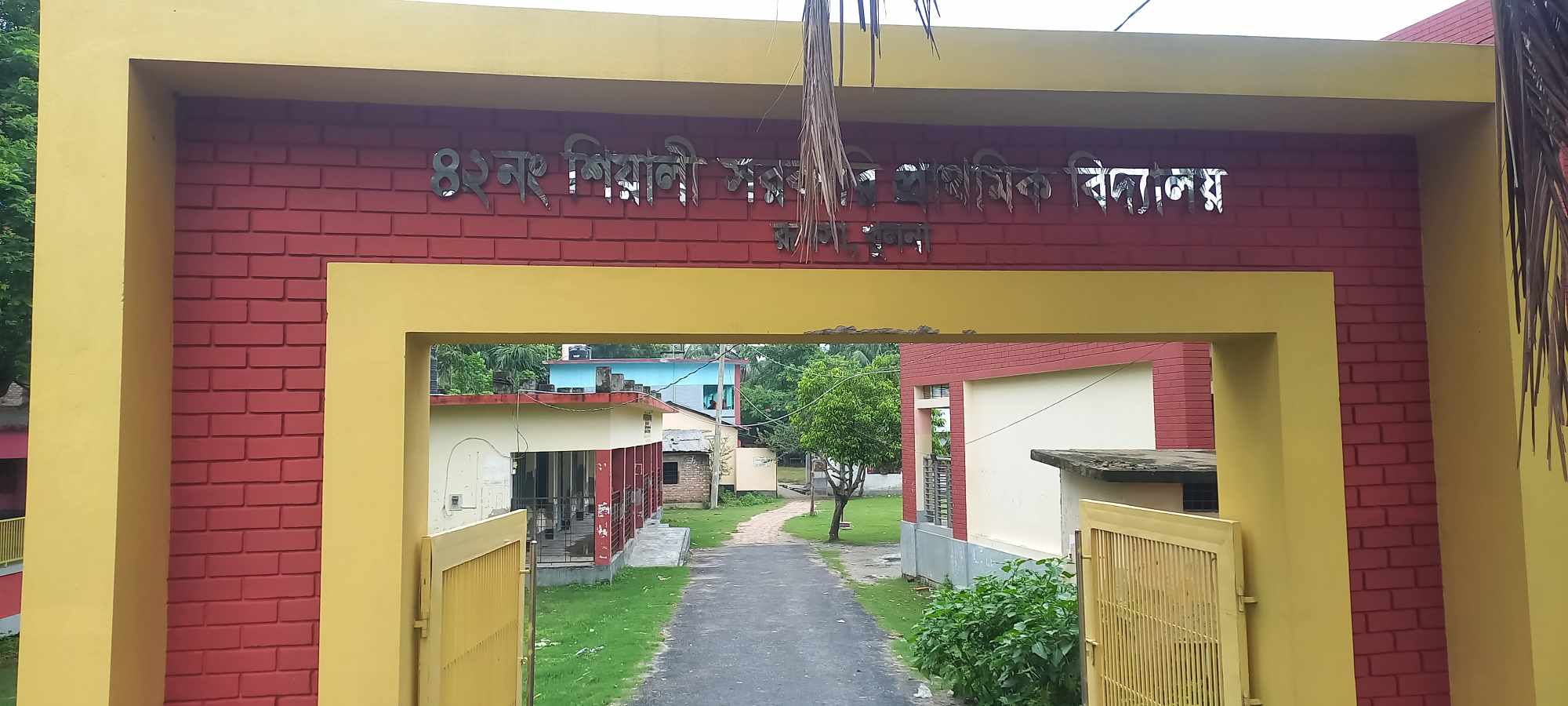 শিয়ালী 